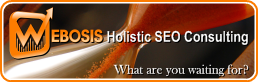 WEBOSIS Holistic SEO Consulting